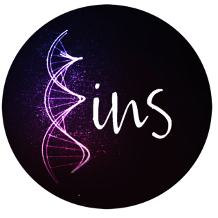 Die Ordnung Melchisedeks - In der Stille empfangen