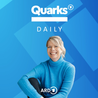 Immer Meckern - Kommen wir da wieder raus?