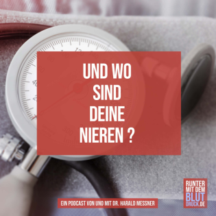 Und wo sind deine Nieren?
