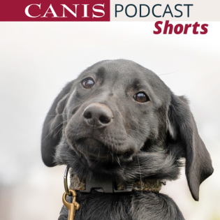 Shorts: Was ist ein Ethogramm?