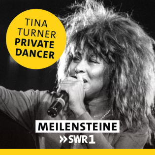 Tina Turner – "Private Dancer"