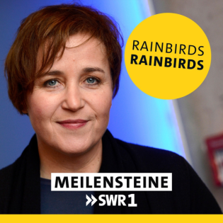 Rainbirds – "Rainbirds"