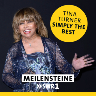 Tina Turner - "Simply The Best"