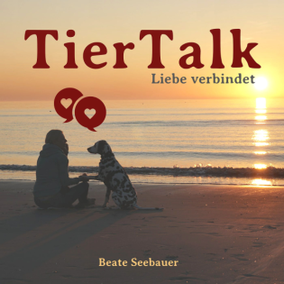 250. Wie du mit Tierkommunikation Verhaltensprobleme tiefer verstehst