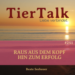 251. Was wenn nicht dein Kopf entscheidet?