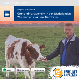 Folge 6: Grünlandmanagement in den Niederlanden. Wie machen es unsere Nachbarn