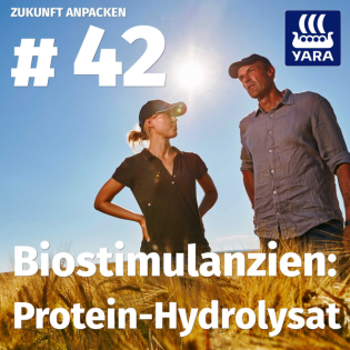 #42: Protein-Hydrolysate als Biostimulanz