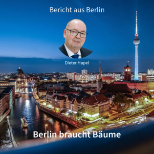 Berlin braucht Bäume. Bericht aus Berlin in DNEWS24 mit Dieter Hapel