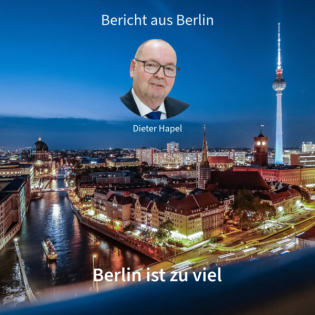 Berlin ist zu viel. Bericht aus Berlin in DNEWS24 mit Dieter Hapel