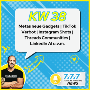 Widerspruch gegen KI-Nutzung bei LinkedIn - KW38/25 (Kopie)