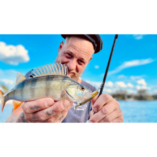 Barsche haben Bock - Alle Methoden funktionieren | #99