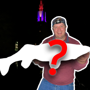 Auf Zanderpatrouille - unterwegs im Potsdamer Revier | Angebissen #73