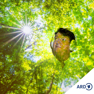 Musik, die Mut macht