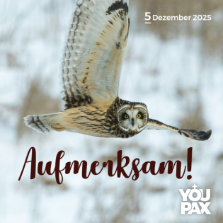 Achtung Advent! - Aufmerksam! - 05.12.2025