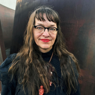 Ulli Lust, Comiczeichnerin: Graphic Novel-Pionierin