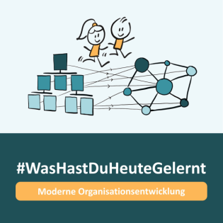 S1 F78 | Drehst du schon an den 7 Stellschrauben der Organisationsentwicklung?