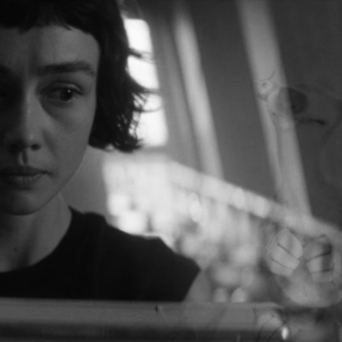 2776 / Laubfegearbeiten