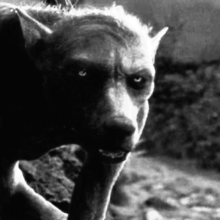 2791 / Die Scham beim Kauf von Käse-Dip