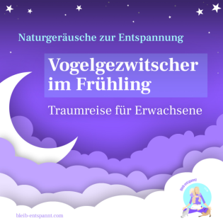 Vogelgezwitscher im Frühling für Erwachsene - Naturgeräusche zum Einschlafen und Entspannen