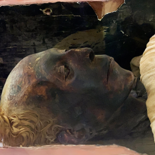 #180 Müffeln Mumien? - Oder duften sie? | Intervallfasten - bedenklich für Jugendliche | Nemos Geheimnis - Superkraft von Clownfisch entdeckt