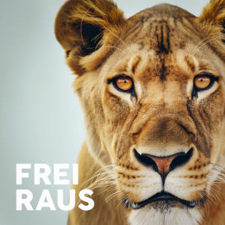 Big Five for life? Hier sind die Tiny Five for 25!