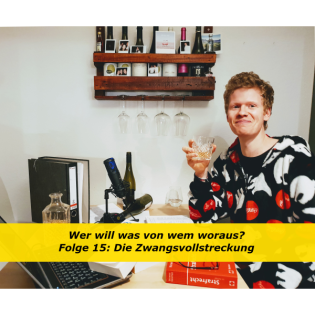 Folge 15: Die Zwangsvollstreckung