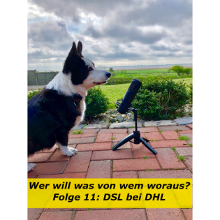 Folge 11: DSL bei DHL