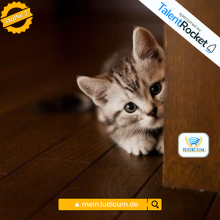 S2| Tierhalterhaftung – Kleine Katze, großer Biss