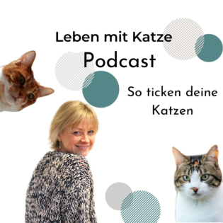 86 - „Sie will schon wieder Aufmerksamkeit…“ – oder? Was deine Katze wirklich meint