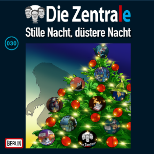 Die drei ??? - Stille Nacht, düstere Nacht: Noch 19 Stunden (feat. C. R. Rodenwald)