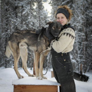 #34 Alaska (2/2) – Schlittenhunde, Eisfischen, Polarlichter