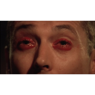 Der Cast der Hosenlosen