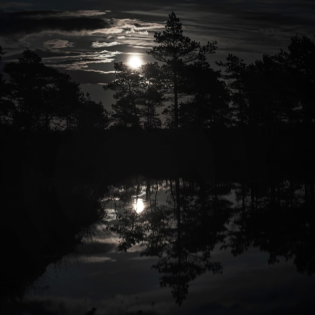 Schein - Ein Feiertags-Feuilleton