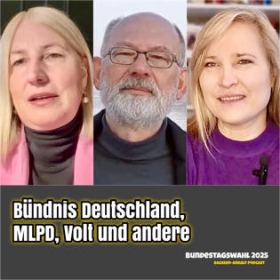 Unter dem Balken: Kleine Parteien im Fokus