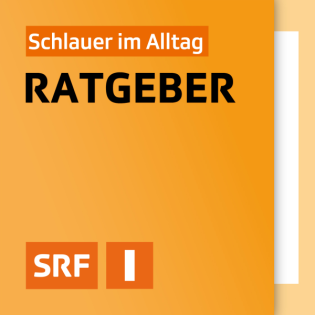 Eine Augenweide! Die edlen Disteln leuchten blau