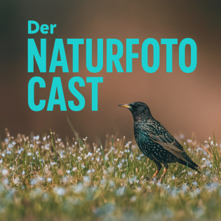 Wildlife Talk ungefiltert - mit Samuel & Ben