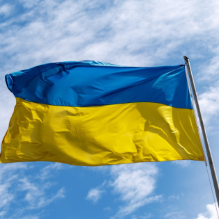 Der Ukrainer Wolodymyr und seine Gänse - Leben nach der russischen Okkupation