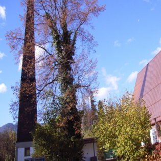 Brannenburg in Oberbayern