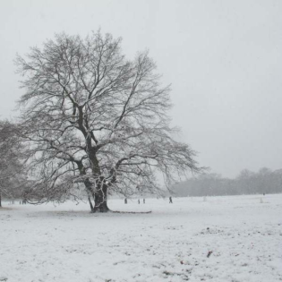 03 Eine Geschichte von "Vater und Sohn"