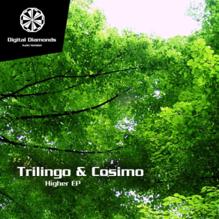 Trilingo - Splease [DigitalDiamonds033] | WAV download