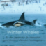Winter Whales - Zu den jagenden Buckelwalen und Orcas im Norden Norwegens
