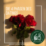 Die 4 Phasen des Datings