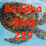 229-Die Schildkröte - Buddha Blog Podcast