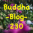 230-Das Veilchen - Buddha Blog - Buddhismus im Alltag
