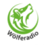 Wölferadio - Fragil, Frustig, Frankfurt