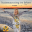 #172_Systemsplitter-Teil 3 - Dauerstress – Der moderne Mensch als ausgebrannter Geist