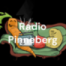 Radio Pinneberg Dezember 2025