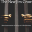 Unpacking Systemic Injustice: A Deep Dive into 'The New Jim Crow' by Michelle Alexander