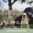 HippoJobs Kompakt - Pferdewirt (m/w/d)