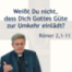 Predigt: Weißt Du nicht, dass Dich Gottes Güte zur Umkehr einlädt? Römer 2,1-11 (2025-11-19)